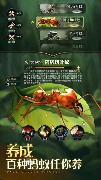 小小蚁国手游 v3.0.60 安卓官方版 1