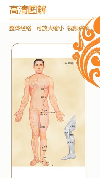 经络养生手机版 v4.1.2 安卓版 1