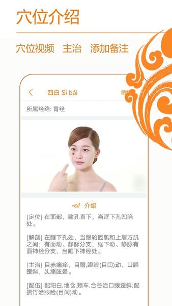 经络养生手机版 经络养生app免费下载
