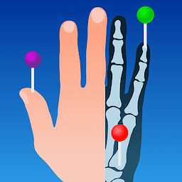 e-anatomy中文免费版v7.9.2 安卓版