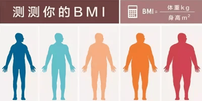 bmi计算器