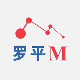 罗平M手机版