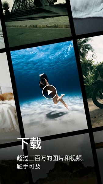 pexels官方版 v7.6.0 ios版 2