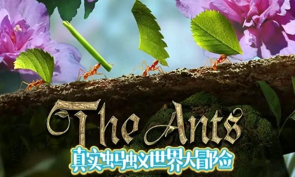 蚂蚁文托模拟器手机版 v1.8.8 安卓版 2