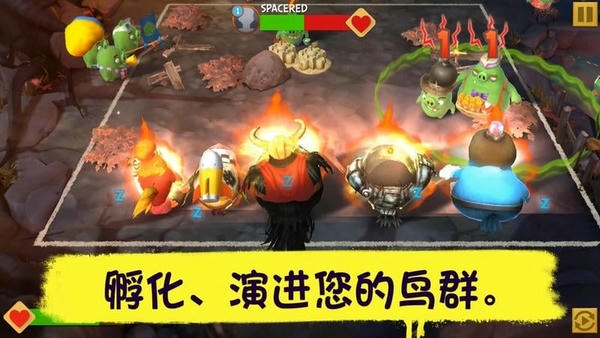 愤怒的小鸟进化破解版无限钻石金币(angry birds evolution) v2.9.12 安卓版 2
