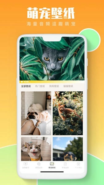 猫咪翻译助手app v4.2.4 安卓版 1