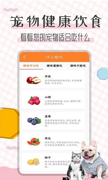 猫语翻译宝软件下载