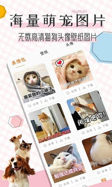 猫语翻译宝app v1.3.1 安卓版 0