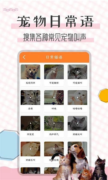 猫语翻译宝app v1.3.1 安卓版 2