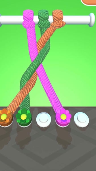 彩绳解解乐最新版(tangle master 3d) v5.0.1 安卓版 0