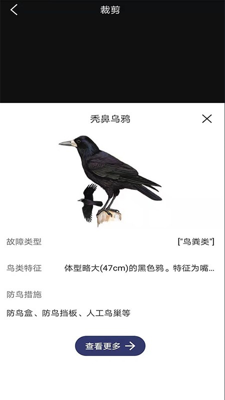 图音识鸟app v2.0.2 安卓版 0