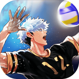 排球高手(the spike volleyball battle)v1.9.9 安卓重制版