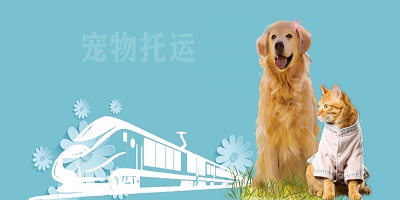 宠物托运软件