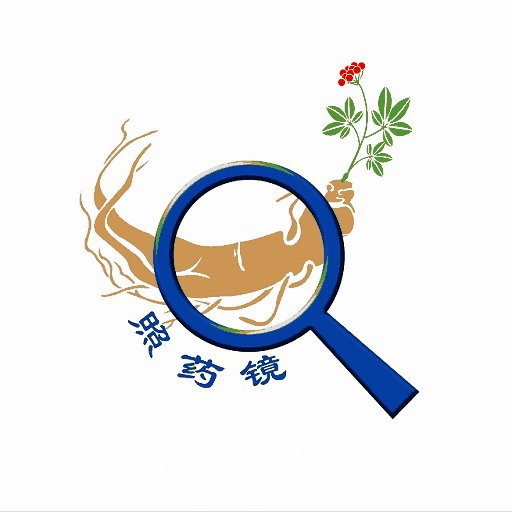照药镜软件