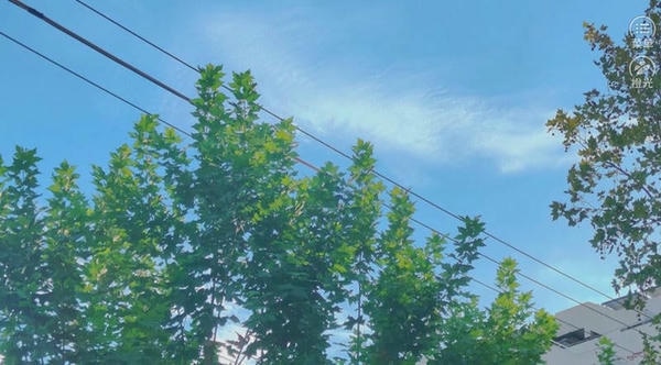 你是女巫吗清软金手指 v4.3 安卓版 1