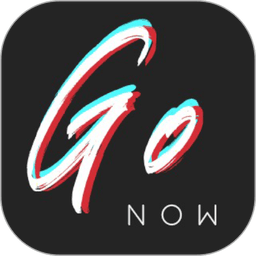 gonow软件