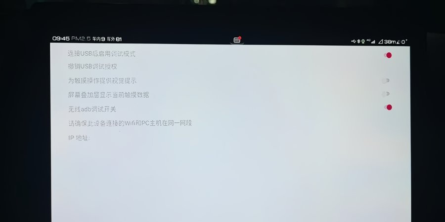 比亚迪无线adb开关车机版(BYD开发工具) v1.0 安卓版 0
