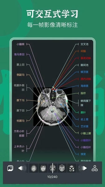 万康人体解剖官方版