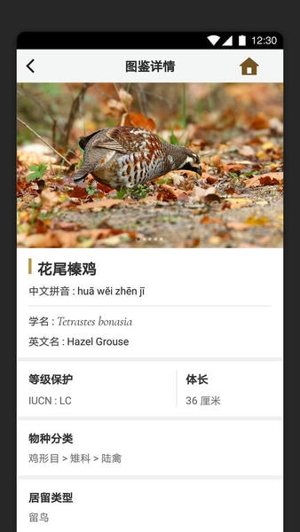 识鸟家官方版 v1.4 安卓版 2
