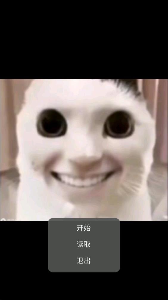 猫猫惊魂1.3游戏 v23.01.191628 安卓版 1
