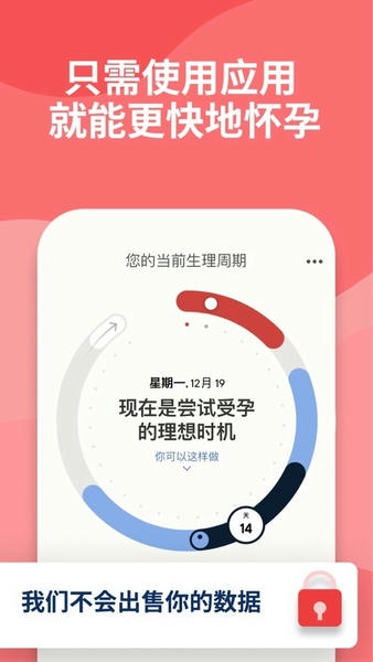 clue app v262.0 安卓版 2