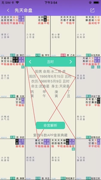 紫微斗数软件 紫微斗数排盘app