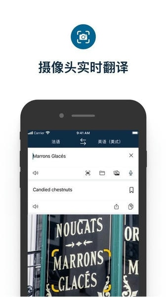 deepl翻译苹果版 v25.31 iphone版 1