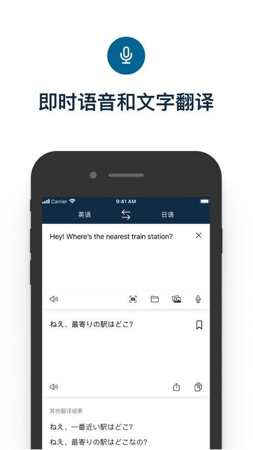 deepl翻译苹果版 v25.31 iphone版 0
