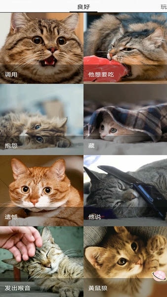 猫猫狗狗翻译器app 猫猫狗狗翻译器软件