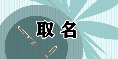 取名软件