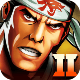 武士2复仇内购版