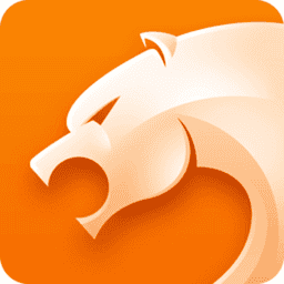 猎豹安全浏览器最新版v9.0.112.22599 PC版
