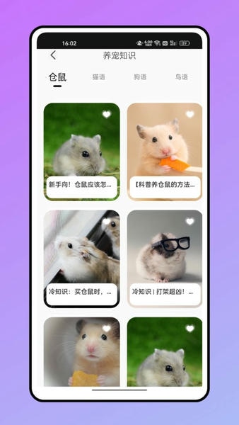 仓鼠翻译器软件 v1.0.0 安卓版 2