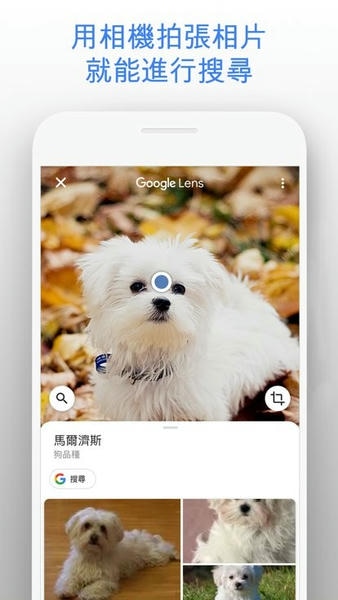 谷歌搜索引擎app(Google) v17.36.15.ve.arm64 安卓版 0