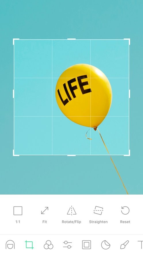 LINE Camera小熊相机中文版 v18.4.5 安卓版 2