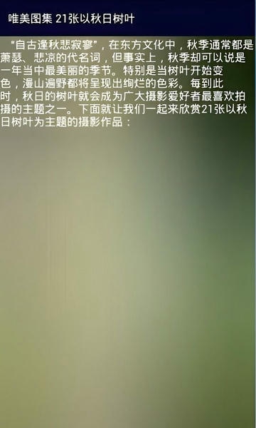 图行天下手机版 v1.2 安卓版 0