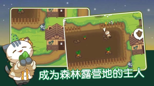 猫咪森林最新版 猫咪森林官方版