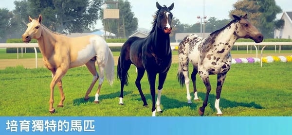 家族传奇马匹养成竞技(Rival Stars) v1.42.2 安卓版 2