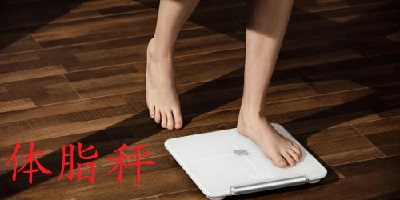 体脂秤