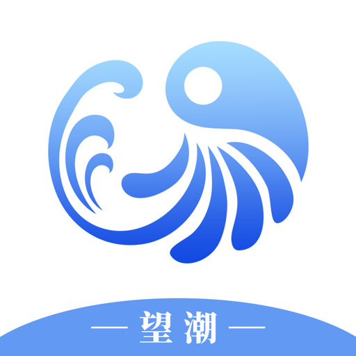 望潮软件