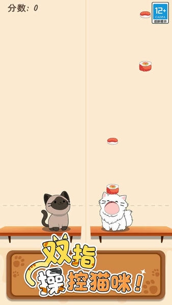 猫咪二重奏中文版 v1.0.2 安卓版 2