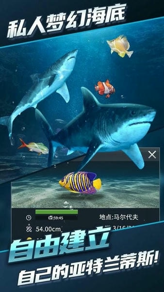 钓鱼达人无限金币无限钻石版 v1.0 安卓版 0