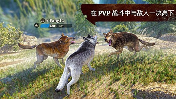 狼族(The Wolf) v3.4.1 安卓版 0