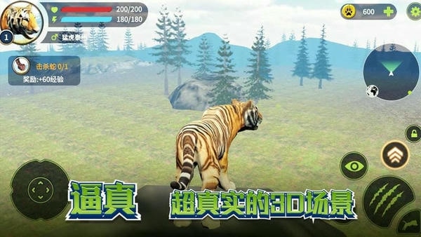 老虎生存大作战最新版 老虎生存大作战官方版