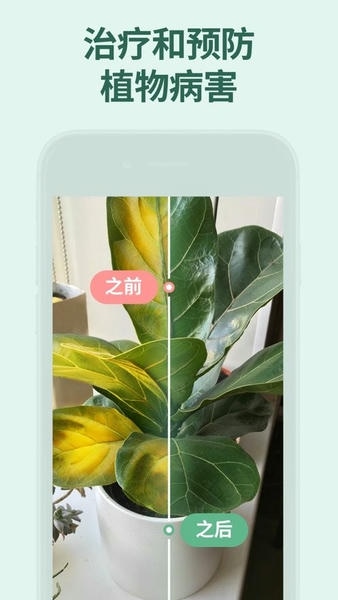 花草录中文版 花草录app