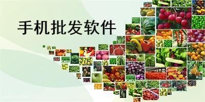 批发软件