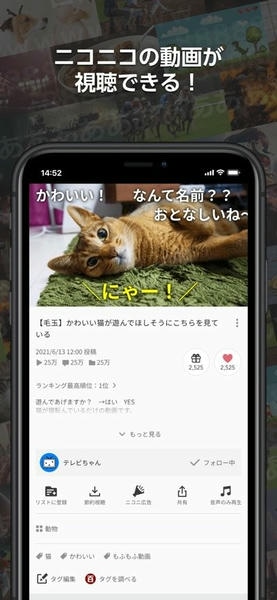 Niconico动画最新版(N站) v8.22.0 安卓版 1