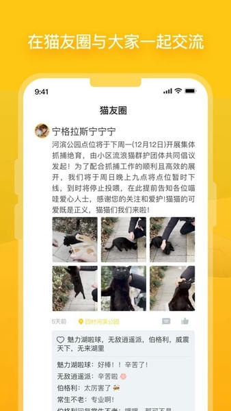哈啰街猫官方版 v4.1.5 安卓版 0