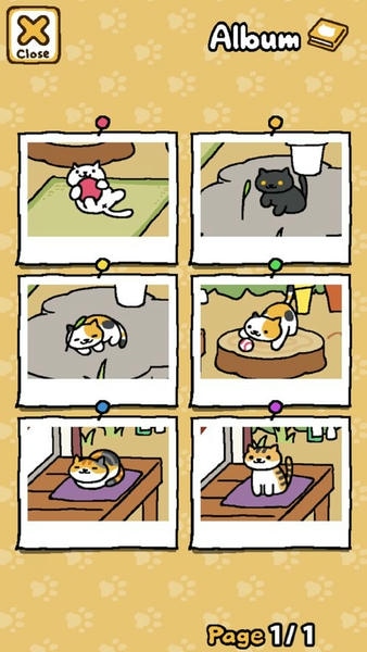 猫咪后院官方版 v1.14.4 安卓版 1