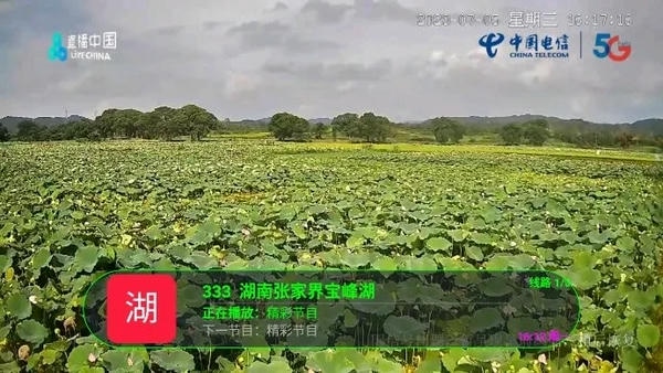 月兔tv电视盒子 v6.2.3 安卓版 2